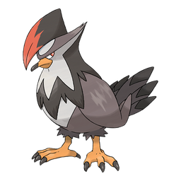 Staraptor